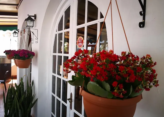 Castillo Club מלון 2*